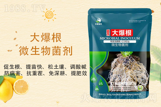 ���@�r��ַ�(w��n)��2021��9��3�����@�r���������