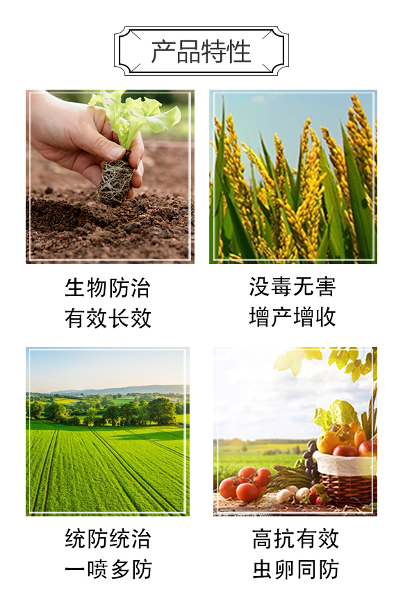 ��ʭ��-���r(n��ng)����_04