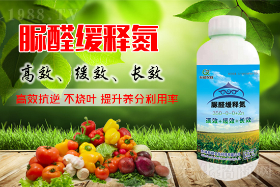 ���؃r(ji��)���߄�(sh��)��2021��9��4�ձ������؃r(ji��)�������܈�(b��o)