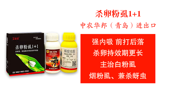 ���r(n��ng)�A����u���M(j��n)�������޹�˾3_03