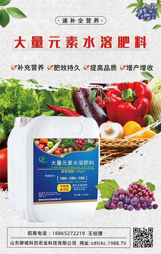 ɽ�|�ĳǿƄ�(chu��ng)�ٺ�1988.TV�����\�������p�A��