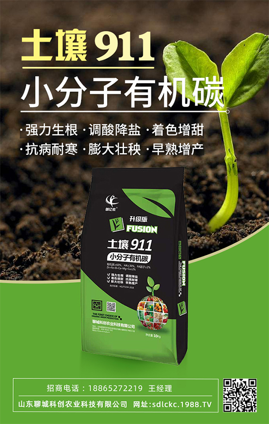 ɽ�|�ĳǿƄ�(chu��ng)�ٺ�1988.TV�����\�������p�A��