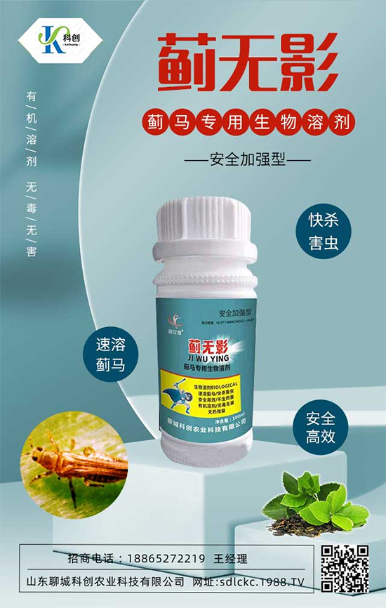 ɽ�|�ĳǿƄ�(chu��ng)�ٺ�1988.TV�����\�������p�A��