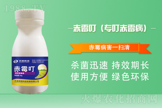 ���������������B�p�ͿƼ��ٺ�1988.TV������(chu��ng)���x����