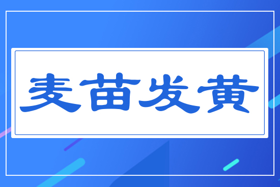 ����l(f��)�S