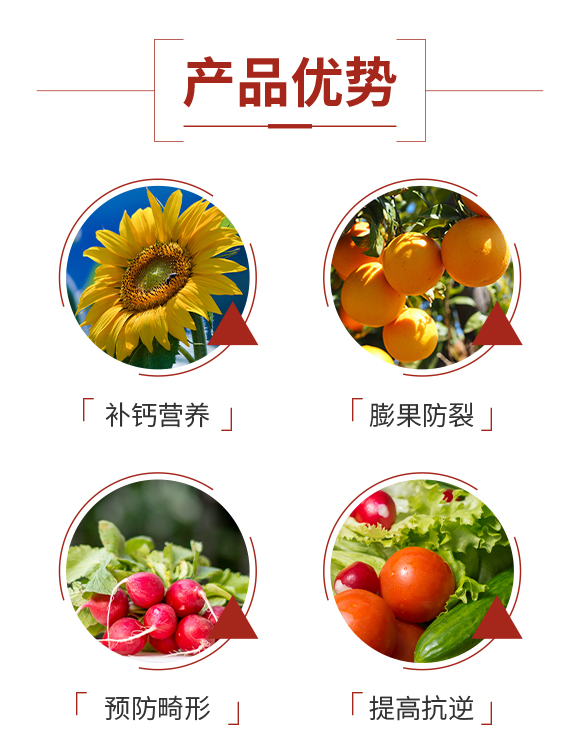 ɽ����(y��u)ؐʩ�r(n��ng)�I(y��)�Ƽ����޹�˾-�S����_03