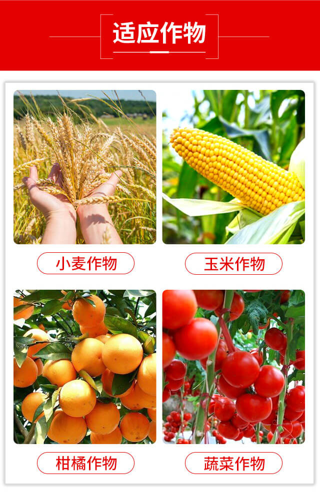 ���x�����ȷ�-�{��Ʒ��_03