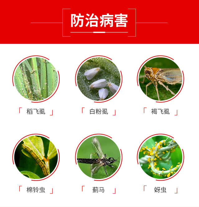 ���x�����ȷ�-�{��Ʒ��_04