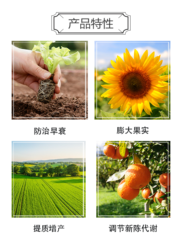 ��ɫ��ِ���أ���h������Ƽ����޹�˾-�W����_03