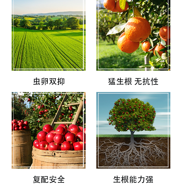 ������Ξ���x(ch��ng)���W(xu��)���޹�˾-�δ�(d��)��_05