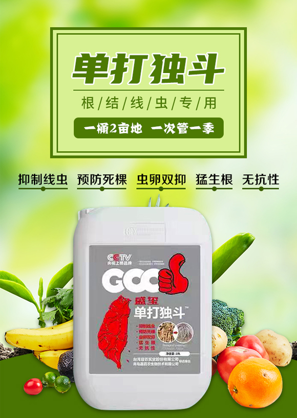 ������Ξ���x(ch��ng)���W(xu��)���޹�˾-�δ�(d��)��_01