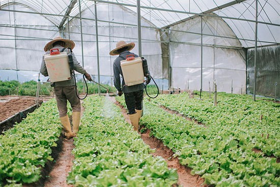 �ذ������ߌóɶ��N�I(y��)���[�����n11��18��