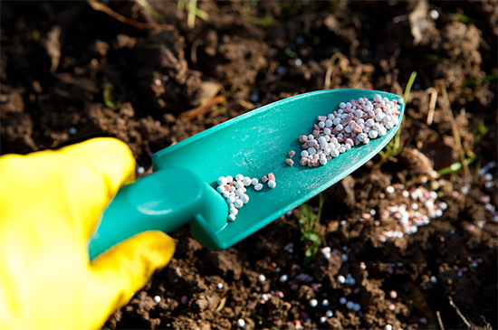 �ذ������ߌóɶ��N�I(y��)���[�����n11��18��