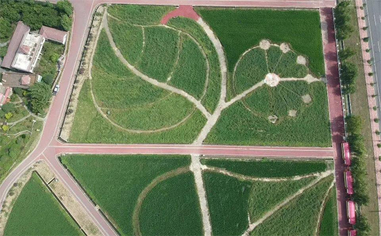 �ذ������ߌóɶ��N�I(y��)���[�����n11��18��