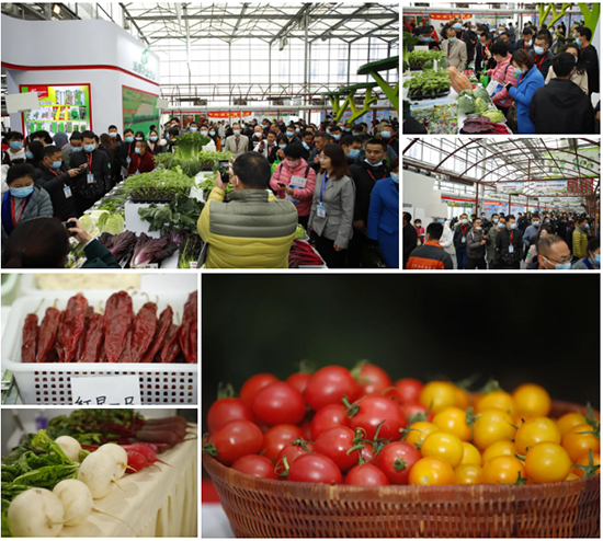 �ذ������ߌóɶ��N�I(y��)���[�����n11��18��