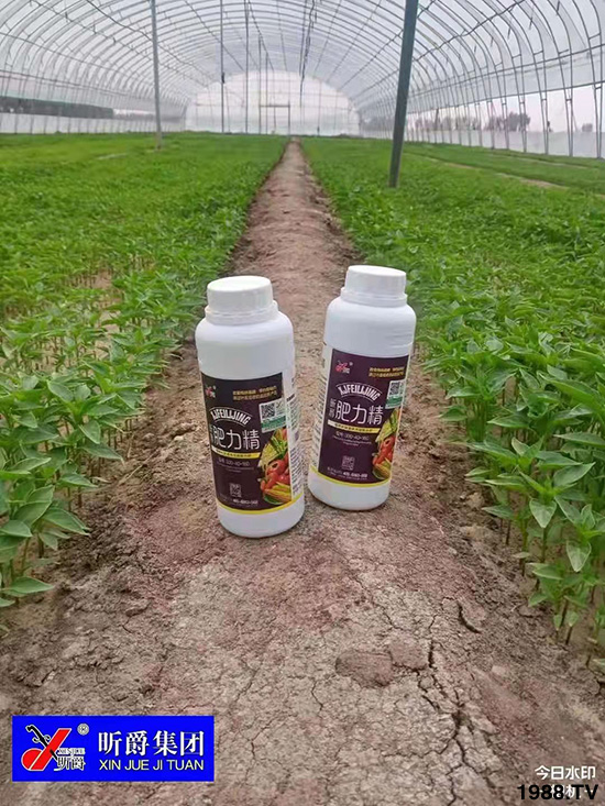 �����仨����������Ͳ��ü������l(f��)�������ٻ����������E���@��