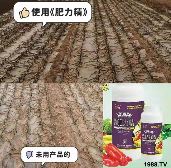 �����仨����������Ͳ��ü������l(f��)�������ٻ����������E���@��