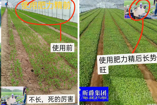 �����仨����������Ͳ��ü������l(f��)���ܣ��ٻ����������E���@��