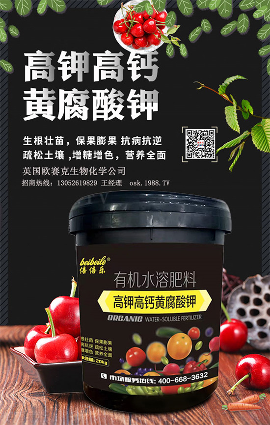 一袋黃腐酸鉀=生根＋土壤改良＋有機肥！黃腐酸鉀為何如此神奇？