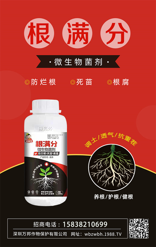 作物死苗爛根多，發(fā)育不良怎么辦！如何拯救作物根系？