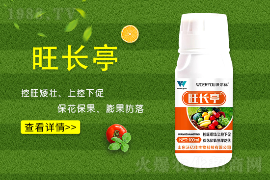 什么是黃瓜旺長？黃瓜旺長的防控措施