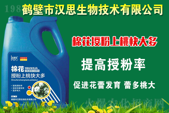 �޻��Nֲ��ô�������޻������L�ڹ���Ҫ�c(di��n)