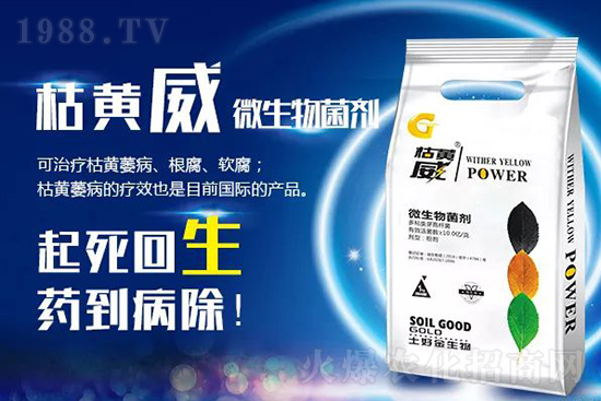 ���Sή�����ݵȲ������Ӝ皢�������͉�����