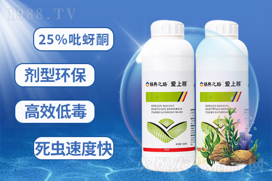    25%����ͪ-��(��i)�ϼ�-����֮·