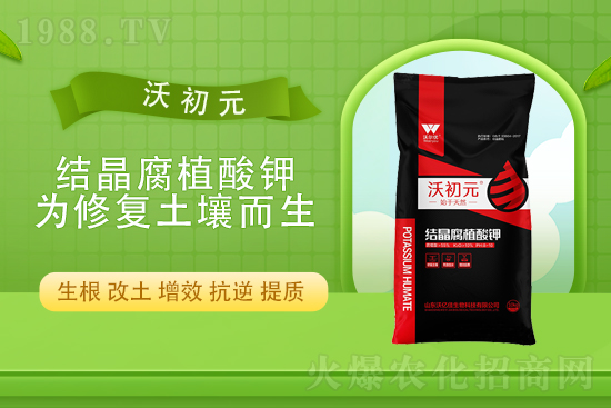 ����?q��ng)?b��o)�r(ji��)��2022��4��13�Տ�(f��)�Ϸ��Ј�(ch��ng)�r(ji��)��