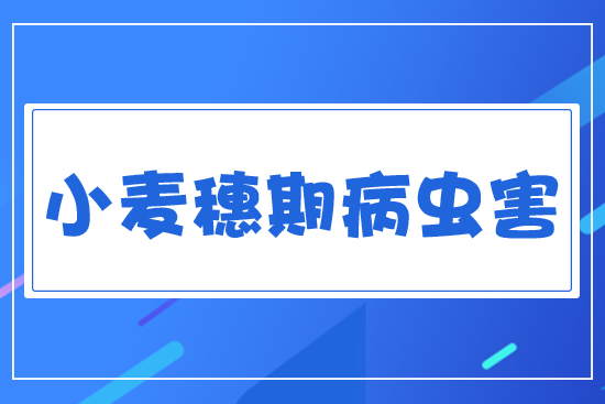 С�����ڲ��x(ch��ng)��