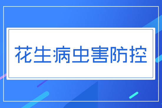 �������x��