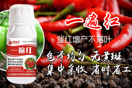 �����߼t��ʩ��ô�������������ǰ�����������߼tˎʲô�r������