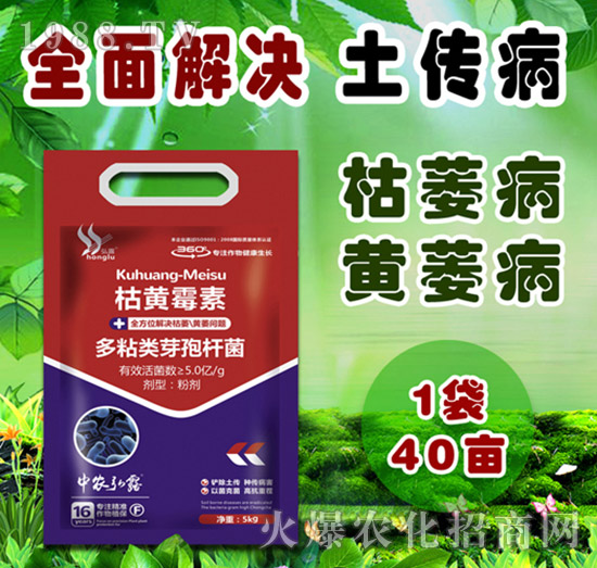     �����Բ�������Щ������ˎ����ô�x��һƪ�����f����