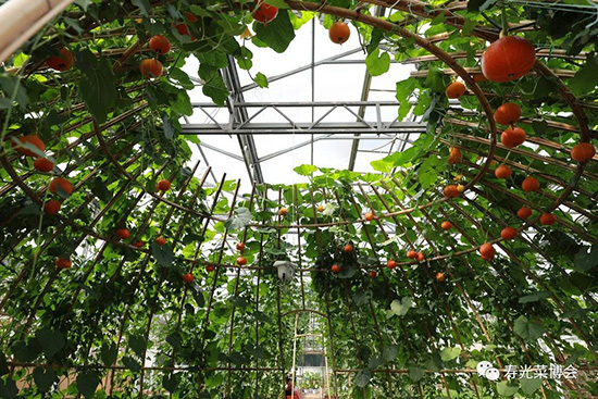 �ڶ�ʮ���É۹�˲���(hu��)7