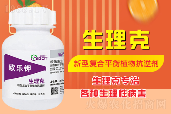 ����Ě������ʲô�Y������ô��Q����Ě������