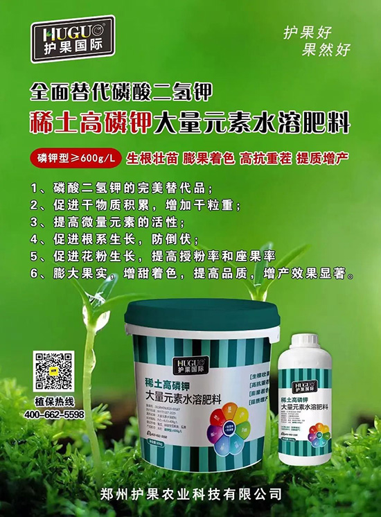 ⛷ʴ�q�r(ji��)���@�N⛷����(sh��)���������������������ռ���f(w��n)�Ј�(ch��ng)