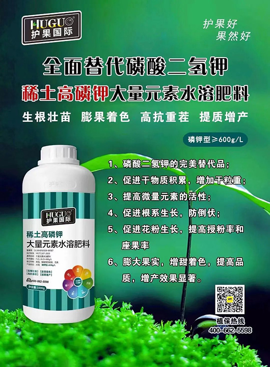 ⛷ʴ�q�r(ji��)���@�N⛷����(sh��)���������������������ռ���f(w��n)�Ј�(ch��ng)