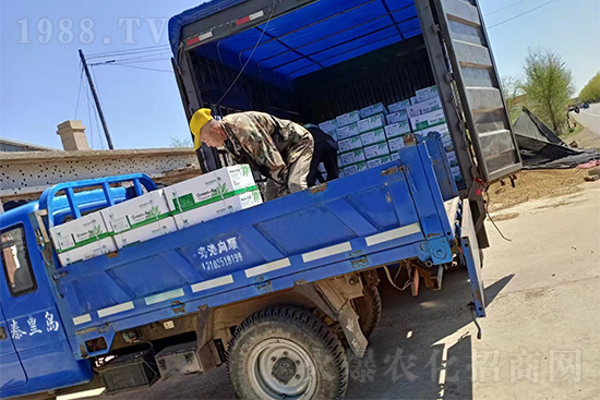 ���N��Ʒ����(sh��)���S�ң�����2̖(h��o)�l(f��)؛��ͣЪ