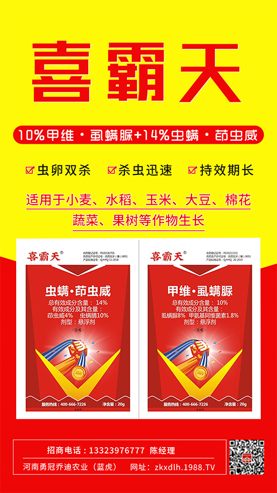 С�˶��������xΣ����̫�y�����@����ˎ��һ��һ����!