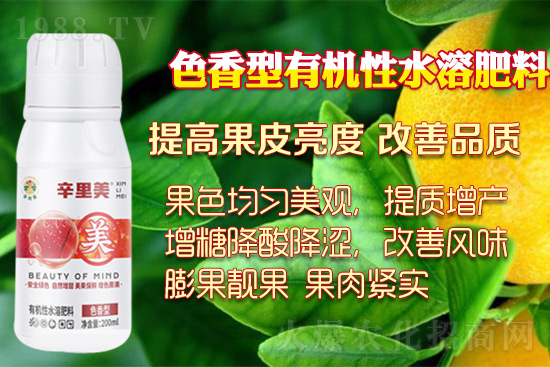 ������ɫ�������ĺÎ�����������ɫ����������