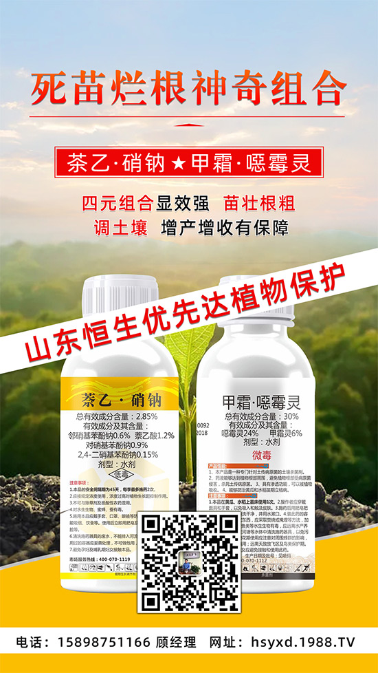 ���������ݡ����砀����(d��o)������ġ�Ԫ�������@�ӷ����p�ɸ㶨��