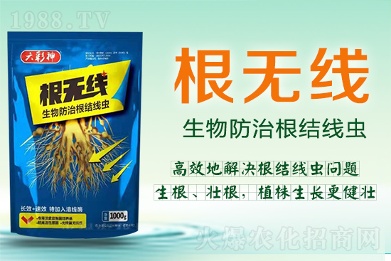 ���Y(ji��)���x(ch��ng)�������ך��^�y���@�ӷ���Ч���õ��@�ˣ�