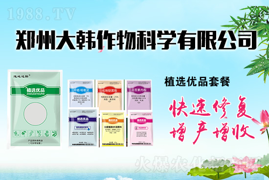 ����ˎ���ʺ��l�l(f��)��ô�k���l(f��)��ˎ���ʺ�����a����