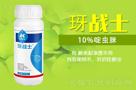 早春蚜蟲(chóng)很容易大爆發(fā)，怎么避免黃瓜蚜蟲(chóng)危害？