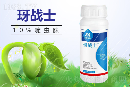 早春蚜蟲(chóng)很容易大爆發(fā)，怎么避免黃瓜蚜蟲(chóng)危害？