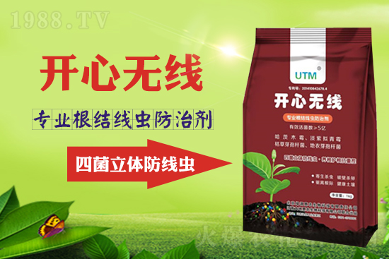 ���Y(ji��)���xΣ���������x������Ҋ�R����