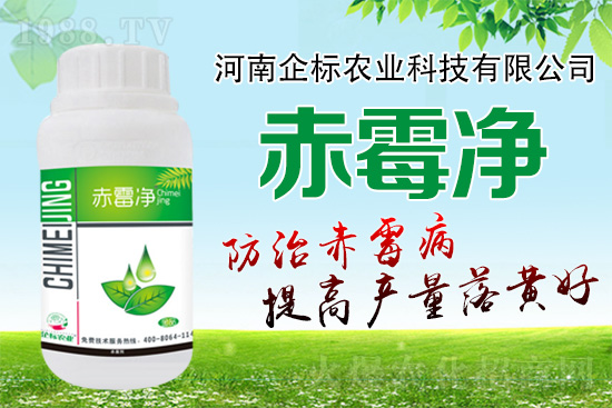 �o�����ѣ�δ��ʮ����С����ù�������P(gu��n)�I�ڣ���(w��)��ץ����