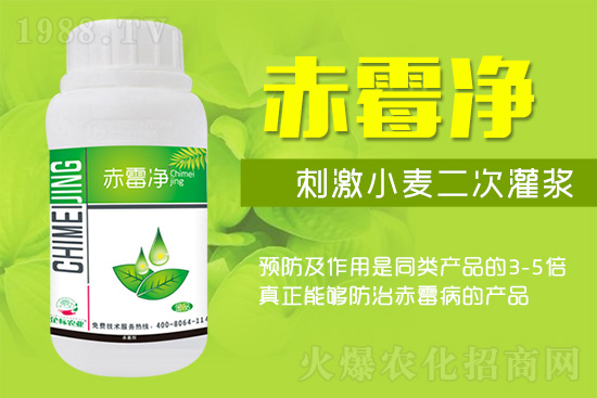 �o�����ѣ�δ��ʮ����С����ù�������P(gu��n)�I������(w��)��ץס��