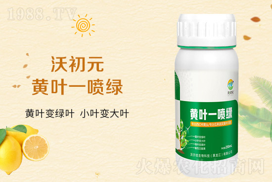 �����~Ƭ��ʲô�l(f��)�S��