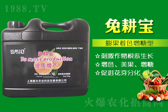 ���Ѵ߼t��ʩ��ô������ʲô���ɣ�